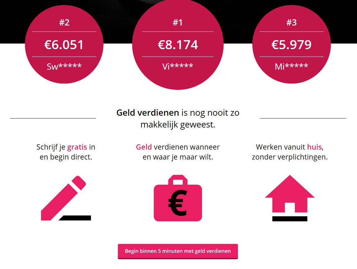 Op zoek naar bijverdiensten of een volledig inkomen?                  